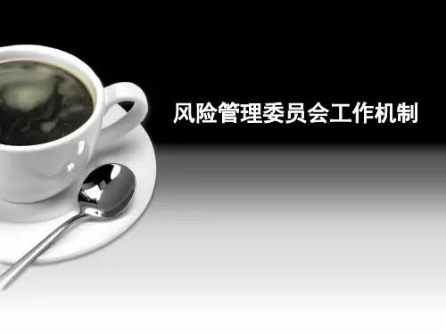 工商银行风险管理委员会工作机制课件知识