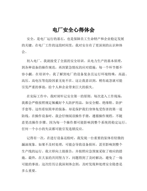 电厂安全心得体会
