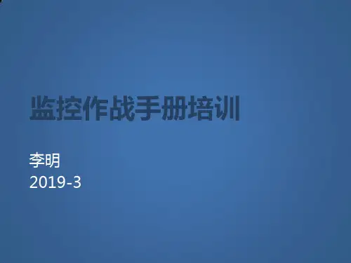 2019年监控市场分析