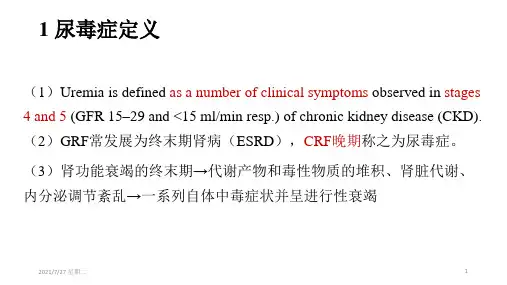 齐鲁医学尿毒症.pptx