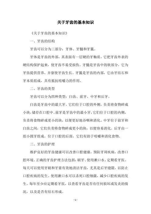 关于牙齿的基本知识