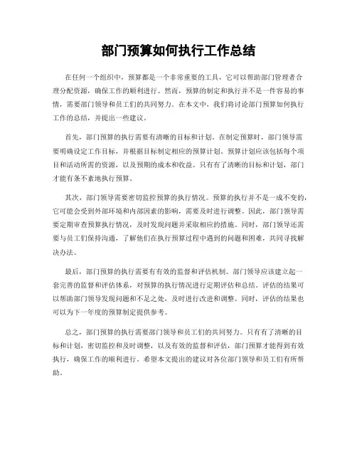 部门预算如何执行工作总结