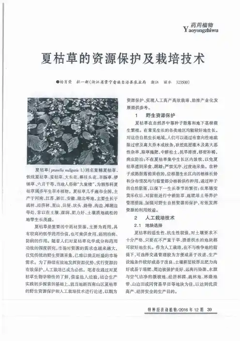 夏枯草的资源保护及栽培技术