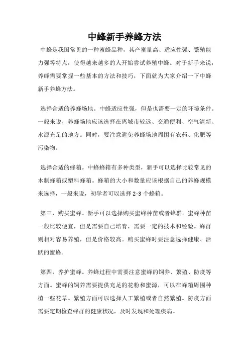 中蜂新手养蜂方法