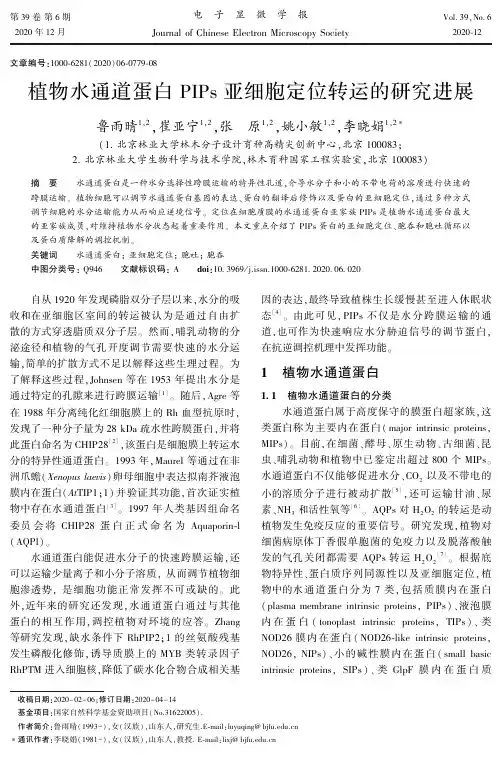植物水通道蛋白PIPs亚细胞定位转运的研究进展