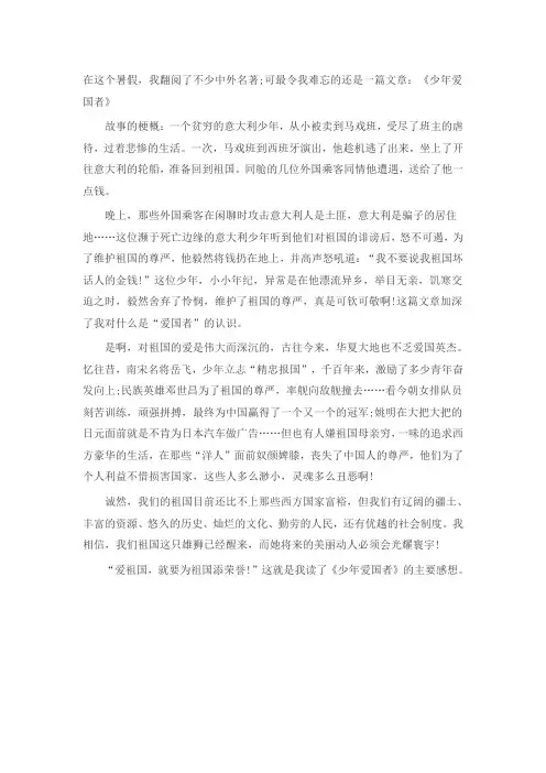 《少年爱国者》读书笔记范文