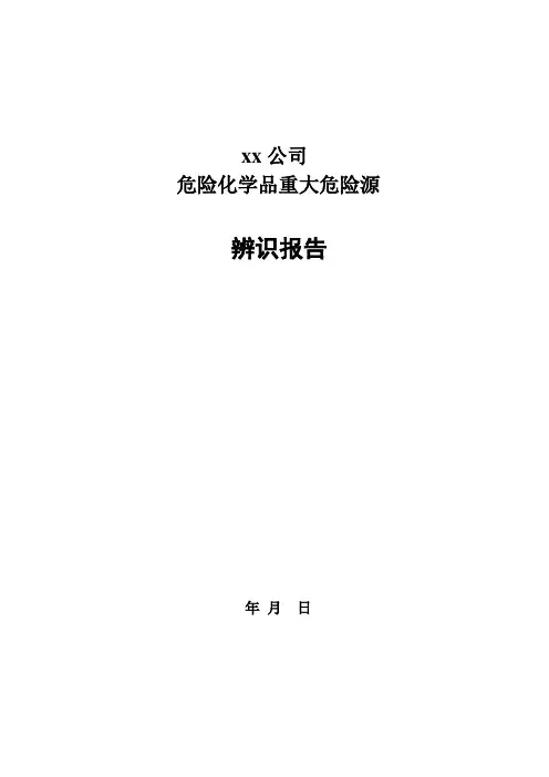 危险化学品重大危险源辨识报告