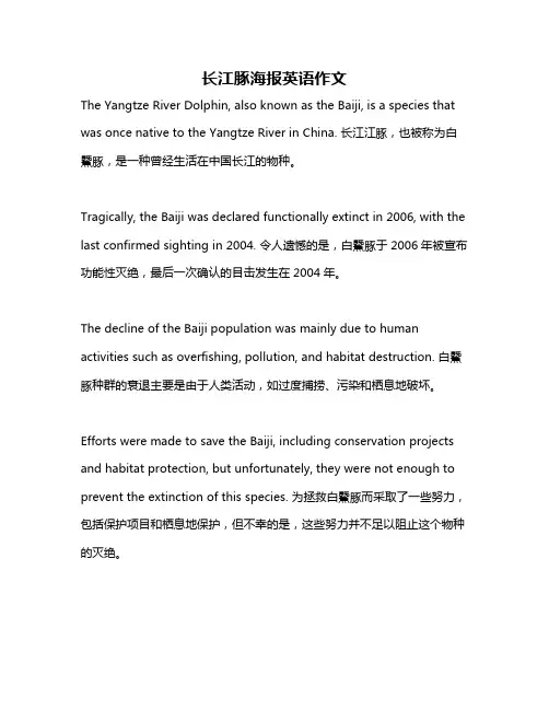 长江豚海报英语作文