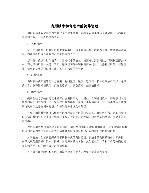 肉用犊牛和育成牛的饲养管理