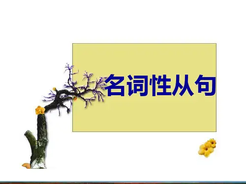 《中学英语复合句》PPT课件
