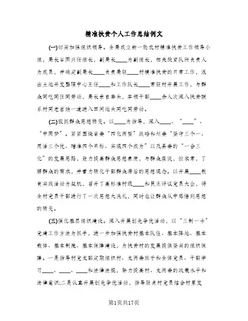 精准扶贫个人工作总结例文（5篇）