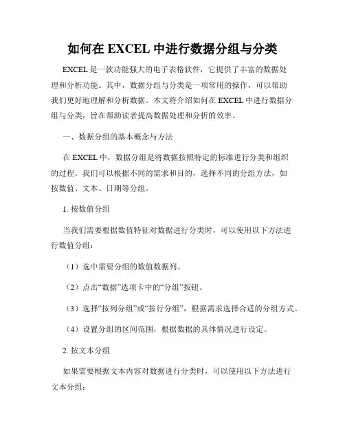 如何在EXCEL中进行数据分组与分类
