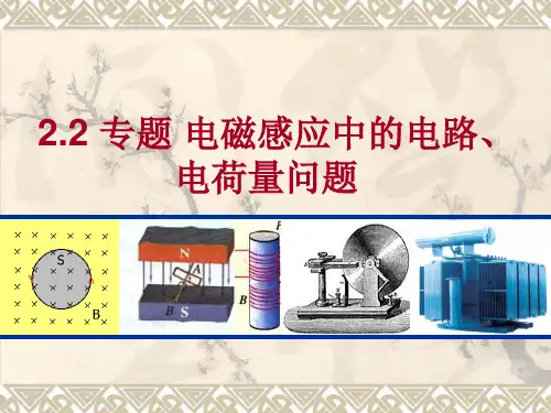 高中物理精品课件： 专题 电磁感应中的电路、电荷量问题