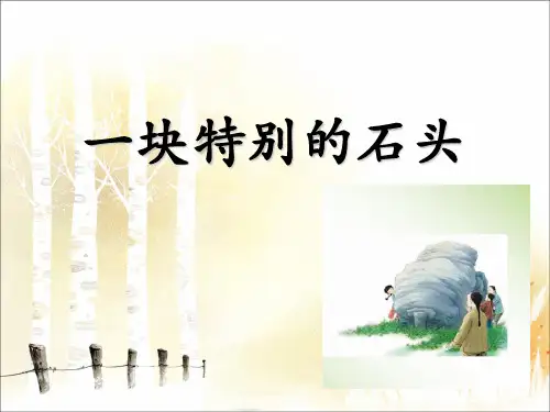 语文四年级上册第21课《一块特别的石头》ppt课件1