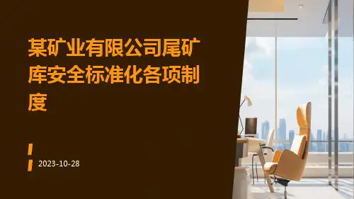 某矿业有限公司尾矿库安全标准化各项制度