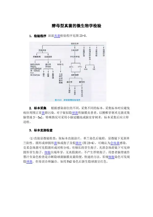 酵母型真菌的微生物学检验