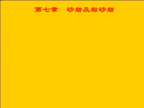 砂岩及粉砂岩