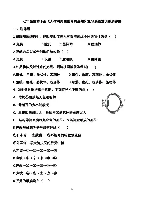 七年级生物下册《人体对周围世界的感知》随堂训练及答案
