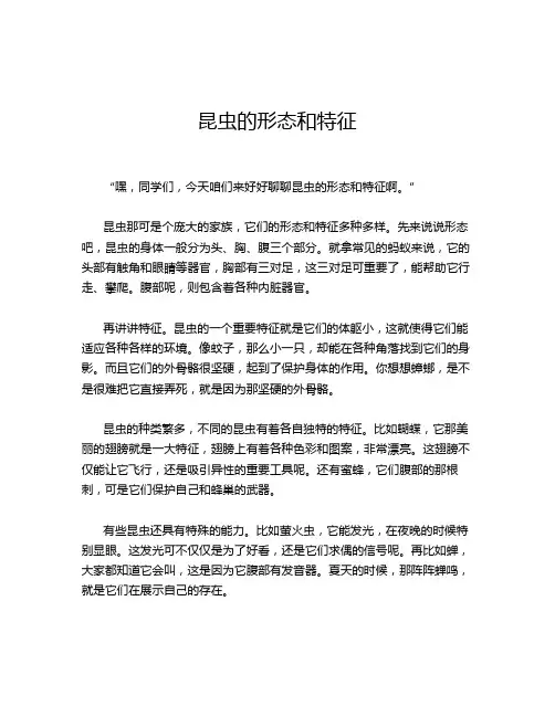 昆虫的形态和特征