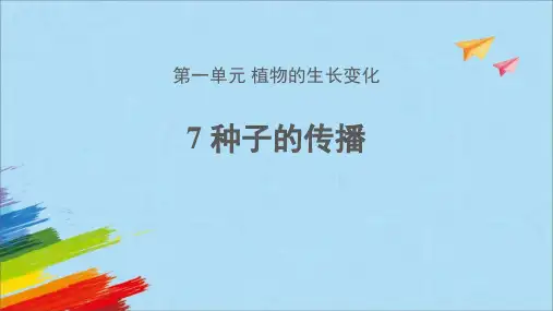 教科版四年级科学下册《种子的传播》PPT课件,共13页