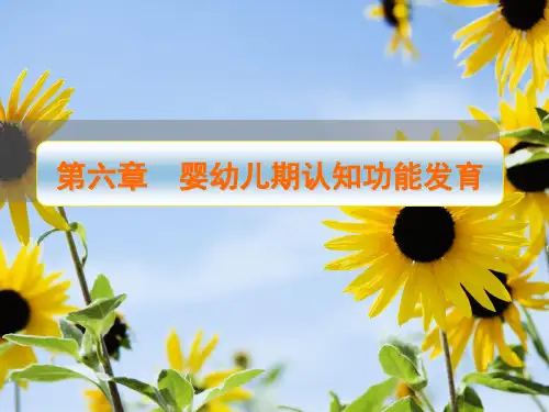 人体发育学第六章_婴幼儿期认知功能发育ppt课件