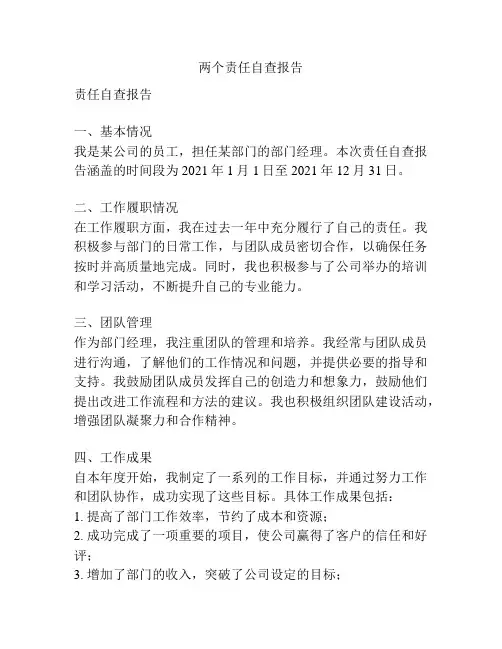 两个责任自查报告