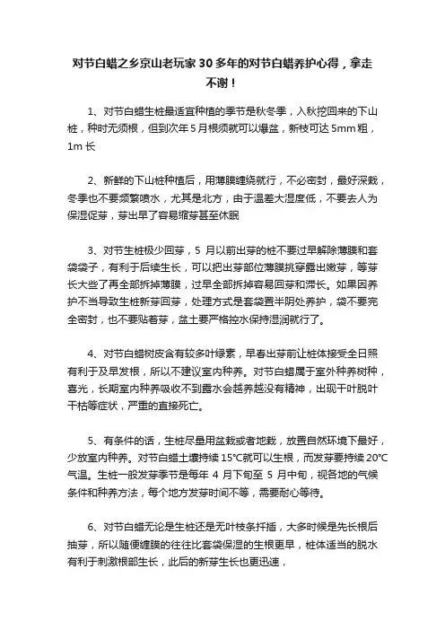 对节白蜡之乡京山老玩家30多年的对节白蜡养护心得，拿走不谢！