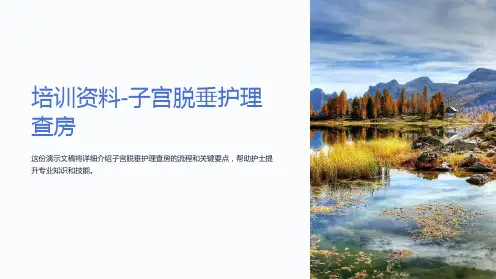 培训资料-子宫脱垂护理查房