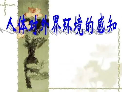 人体对外界环境的感知复习
