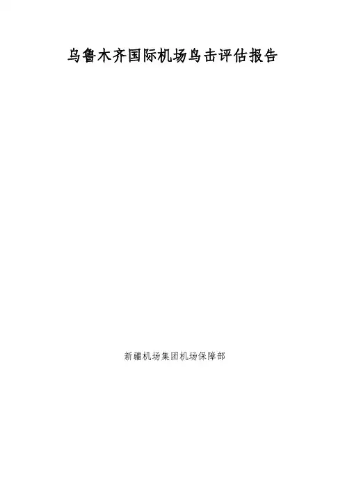 乌鲁木齐机场鸟击评估