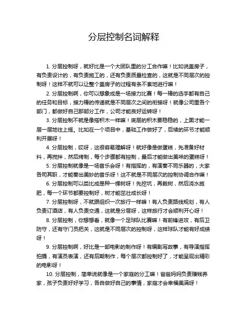 分层控制名词解释