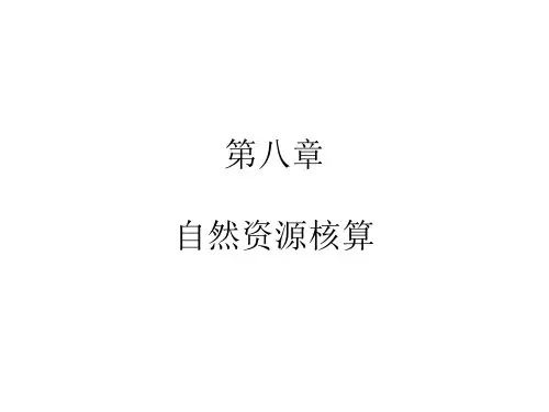 第八章  自然资源核算