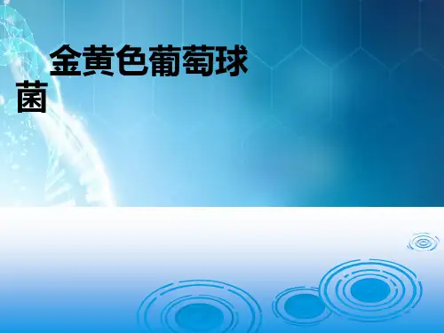 金黄色葡萄球菌