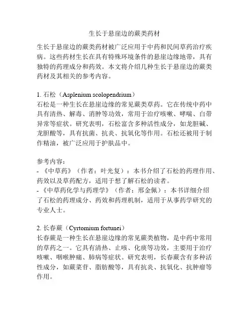 生长于悬崖边的蕨类药材
