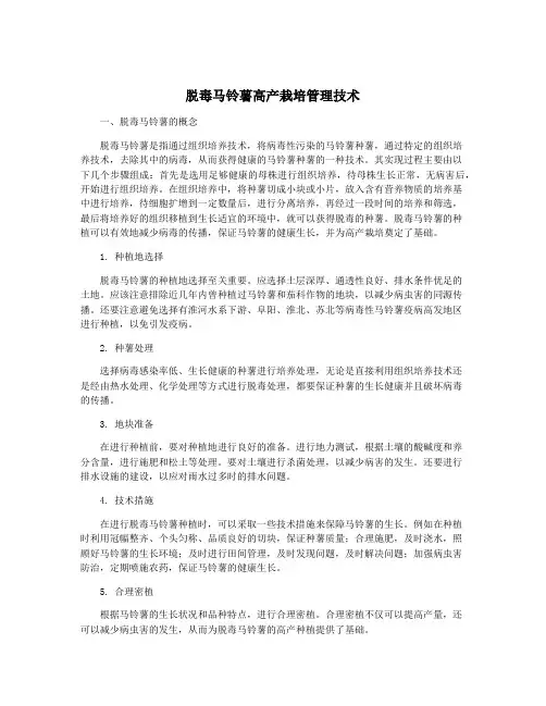 脱毒马铃薯高产栽培管理技术