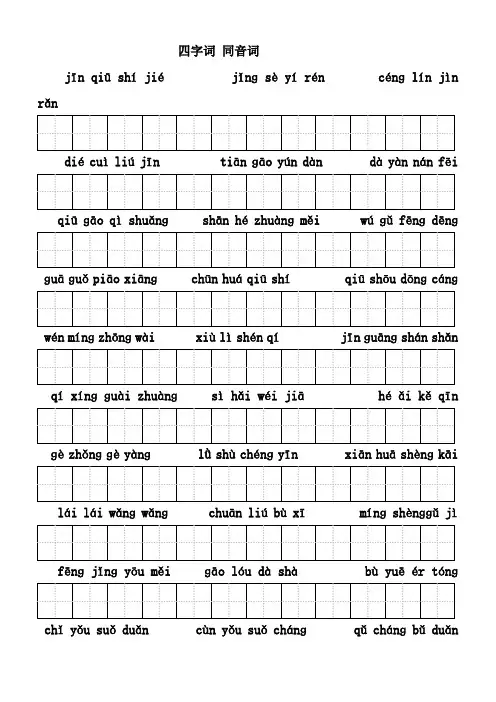 四字词同音词