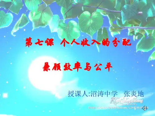 高一政治 兼顾效率与公平 ppt