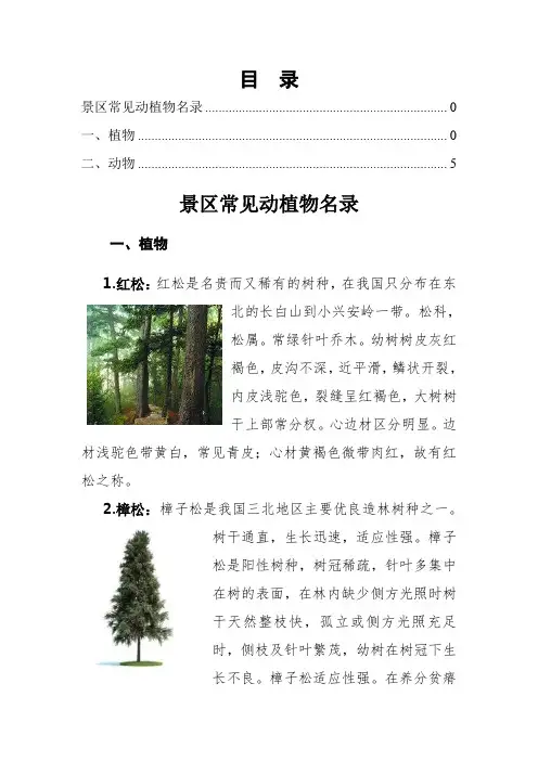 东北常见动植物名录共16页word资料