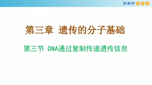 DNA通过复制传递遗传信息