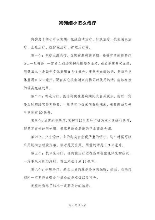 狗狗细小怎么治疗