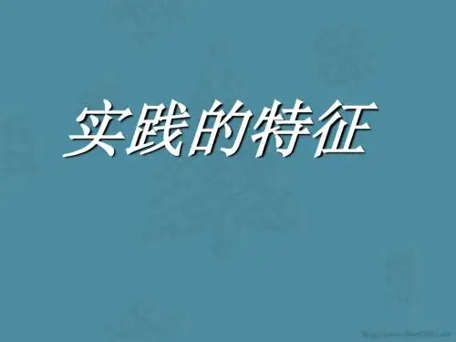 高二政治实践的特征课件 人教版