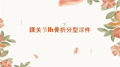 踝关节LH骨折分型课件