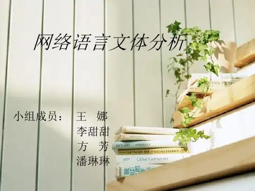 网络语言文体分析