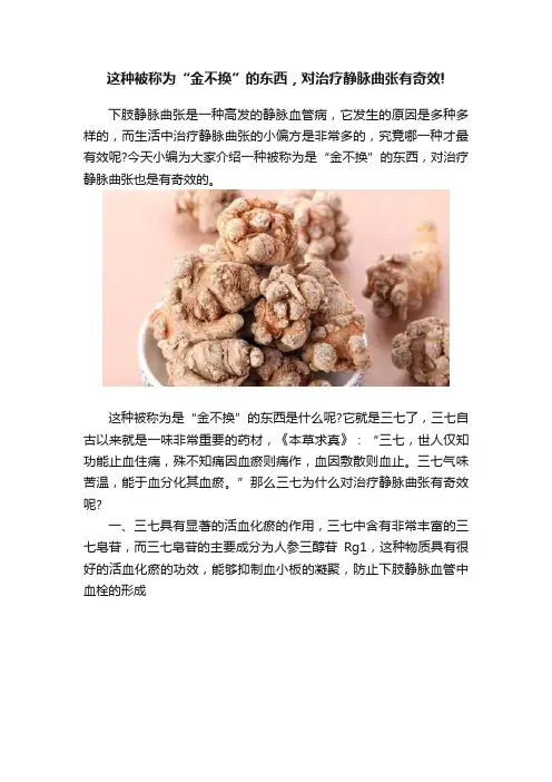 这种被称为“金不换”的东西，对治疗静脉曲张有奇效!