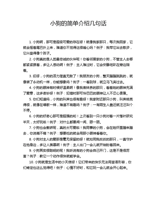 小狗的简单介绍几句话