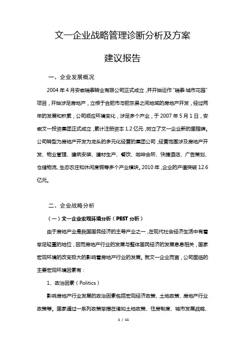 战略管理诊断分析报告