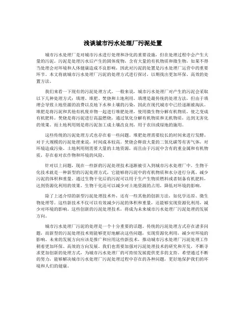 浅谈城市污水处理厂污泥处置