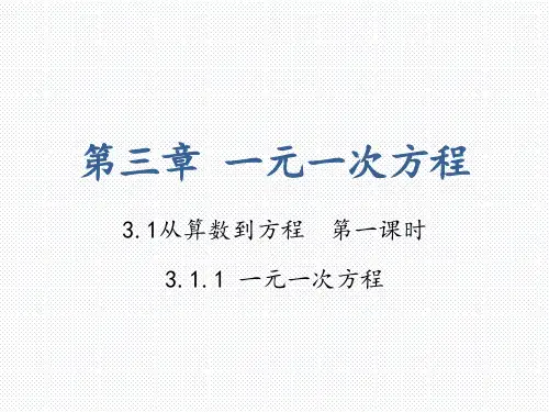 人教版数学七年级上册 3.1.1 一元一次方程 (共27张PPT)