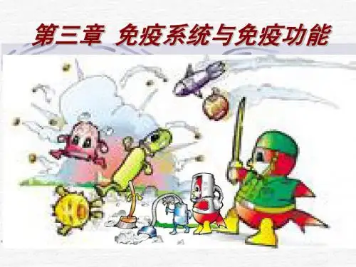 人教版教学课件人教必修第二章三免役