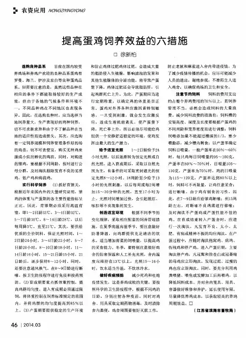 提高蛋鸡饲养效益的六措施